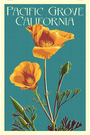 Pacific%20Grove%20Poppy%20Poster