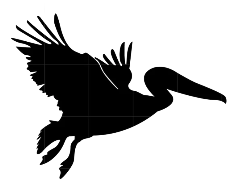 Pelican